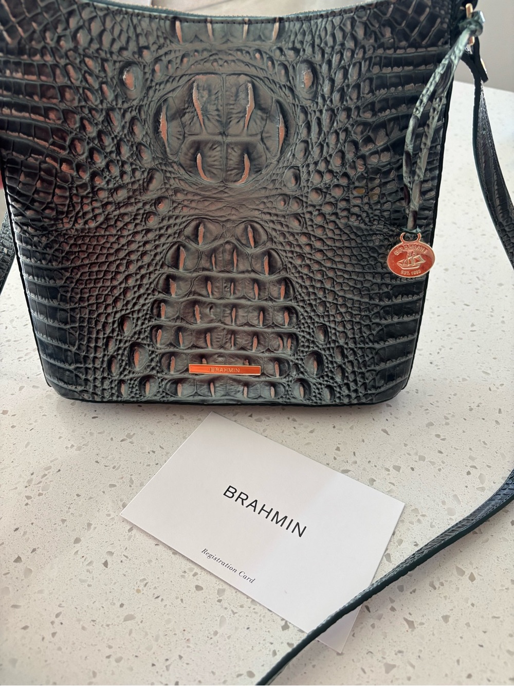 Rare Brahmin Katie Obsidian Melbourne Leather Crossbody NWOT HTF Q86 151 00535 - Picture 9 of 9